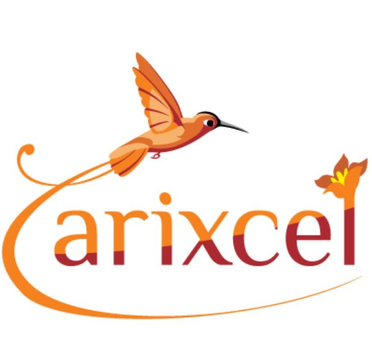Arixcel Arixcel